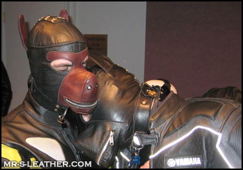 leather puppy hood