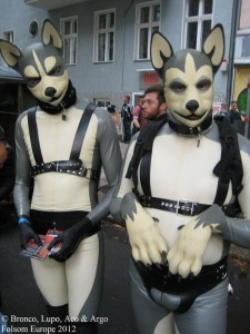 gumihund lupo folsome europe 2012