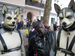 rubber dogs folsom europe 2012