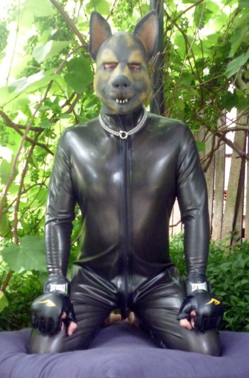 Rubber Catsuit For Pup Play - The Happy Pup