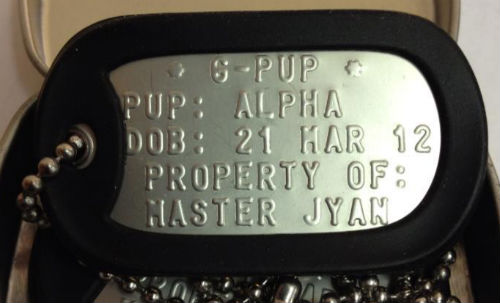 gpup-alpha-dog-tags