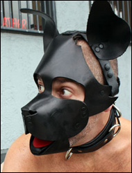 leather woof pup play hood