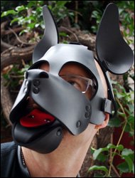 neoprene pup play mask