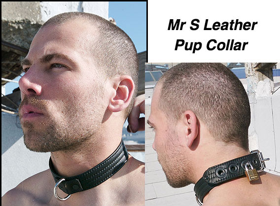 pup-collar