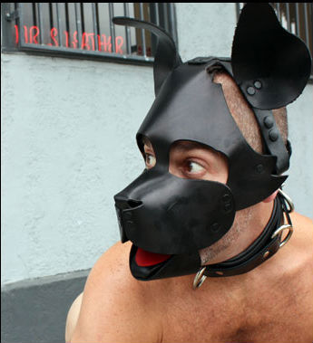 leather pup mask