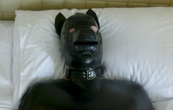 rubber dog mask