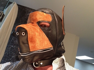 leather dog hood