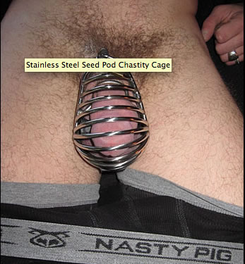 stainless steel cock cage