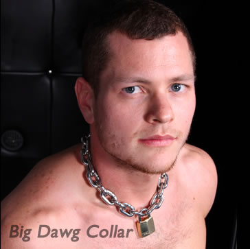 big dawg collar