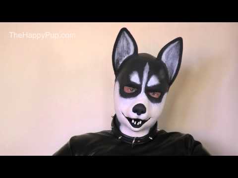 Video thumbnail for youtube video Wolf Pup On His RubberDawg Hood - The Happy Pup
