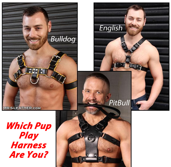 Leather Harness For Human Pup Play