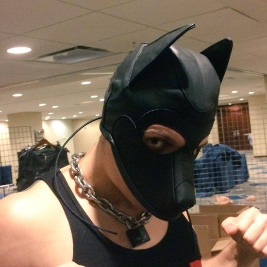 shared 2 pics of the new Mr S Leather Pup Hood. 
