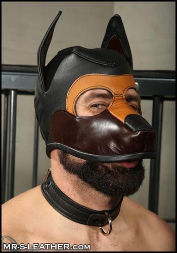 Click Here To Check Out The Growler Open Chin Hood @ Mr S Leather Hey Pups!...