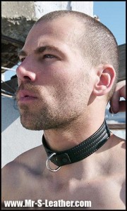 Leather Dawg Collar