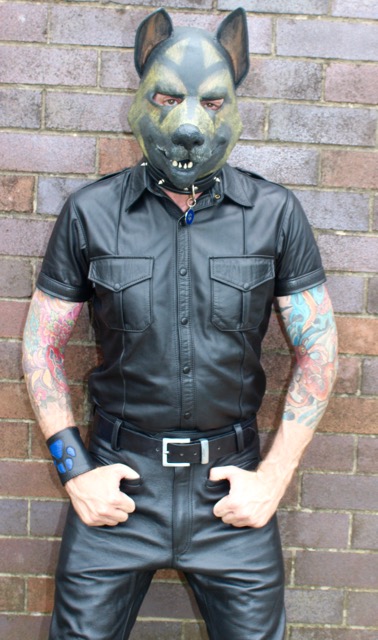 Formal Leather Pup