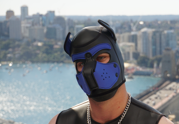 https://thehappypup.com/puppy-hoods-masks/neoprene-pup-hood/ Neoprene dog hood by the guys at Mr S Leather. This is an excellent puppy hood for human pup play and human dog training.