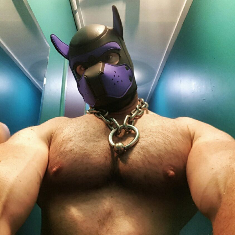 Pup Porn